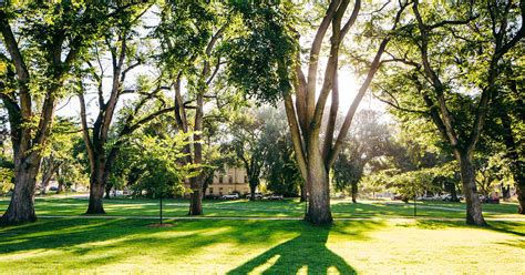 colorado state university niche